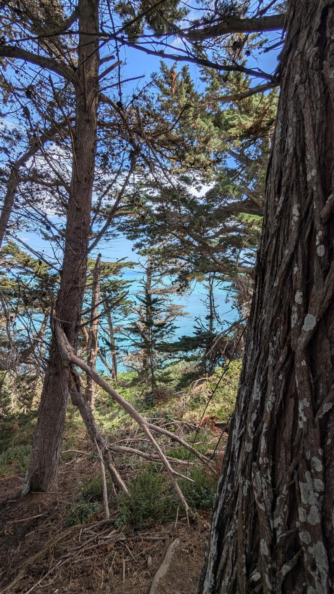 La Guesthouse - A Deux Pas Du Sentier Des Douaniers Pordic Bagian luar foto